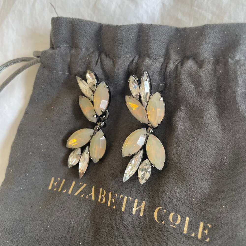 Elizabeth Cole crystal drop earrings